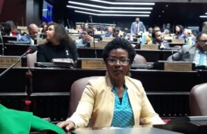 Diputada Fior Daliza Peguero afirma voto manual sería un retroceso para RD