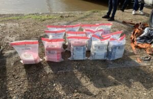 Incautan 62 paquetes de cocaína debajo de buque del Puerto de Sans Souci