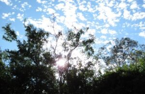 Se esperan temperaturas agradables para este miércoles