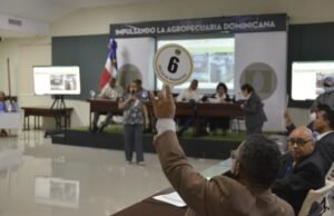 Aduanas recauda RD$106,184,276.13 en subastas públicas del 2022