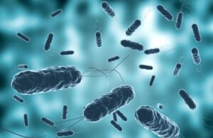 Otros seis casos de Cólera son analizados por Salud Pública