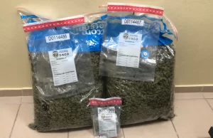 Prisión preventiva contra arrestada con más de 30 libras de marihuana en Aeropuerto del Cibao