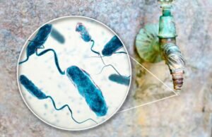 Se elevan a 17 los casos de cólera en República Dominicana