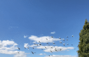 Prevén cielo soleado y temperaturas calurosas para este lunes