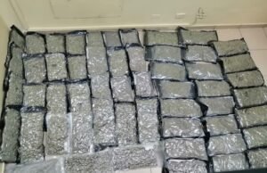 Arrestan extranjero con 54 paquetes de marihuana