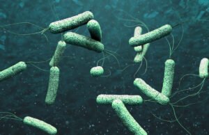 Salud Pública reporta tres nuevos casos de cólera