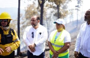 Genao tilda de “terrorismo ambiental” incendios de bosques y vertederos