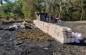 Autoridades incineran 2.4 toneladas de drogas ocupadas en última semana