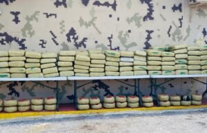 Confirma cargamento ocupado en Pedernales son 1,955 libras de marihuana