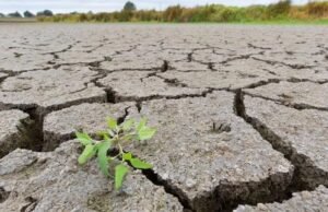 Estas son las medidas del Gobierno para mitigar la sequía en el país