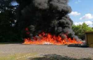 Autoridades han incinerado 16,500 kilogramos de diferentes drogas este año