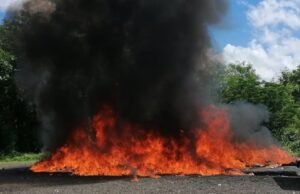 PGR incinera 200 kilogramos de drogas ocupadas en recientes operativos