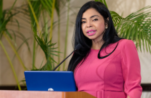 Yeni Berenice se reúne con Pacheco en la Cámara de Diputados