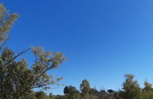 Prevén viernes caluroso y aguaceros locales hacia el interior del país