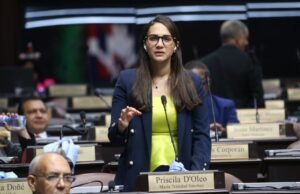 Diputada somete proyecto de ley para regular contenido digital generado por IA