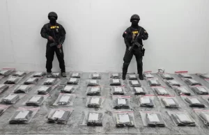 DNCD confisca 591 láminas de cocaína en cajas de guineo