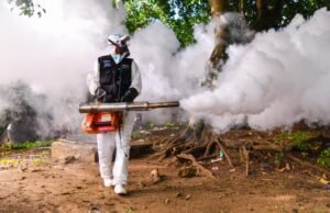 SP continúa acciones contra el dengue; pide a la población eliminar criaderos de mosquitos