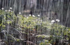 Seguirán las lluvias este miércoles en varios puntos del país