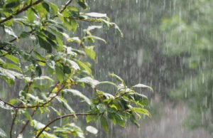 Onamet pronostica aguaceros desde tempranas horas para este martes