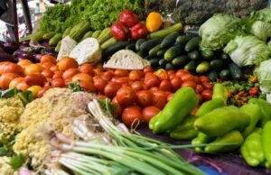 Banco Central: ingreso hogares cubre costo canasta familiar