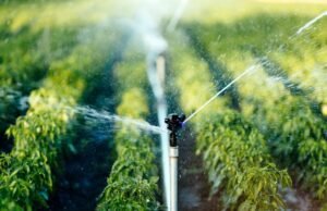 Más de 34,000 productores se beneficiarán de plan de riego tecnificado en Yaque del Sur