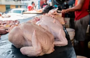 Mercado de pollo muestra franca mejoría en abastecimiento