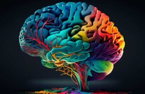 ¿Microplásticos en el cerebro? descubrimiento que inquieta a la comunidad científica