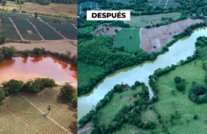 Avances en la remediación ambiental transforman los pasivos mineros en áreas productivas