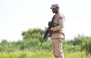 Apresan y repatrían a dos haitianos que burlaron el muro fronterizo en Dajabón